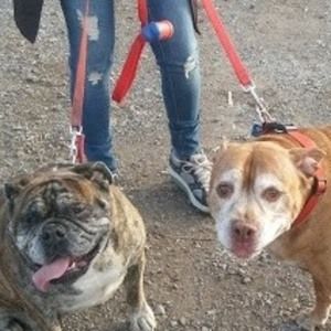 Meet your Posher, Cali